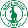 波西米亚人1905 B队